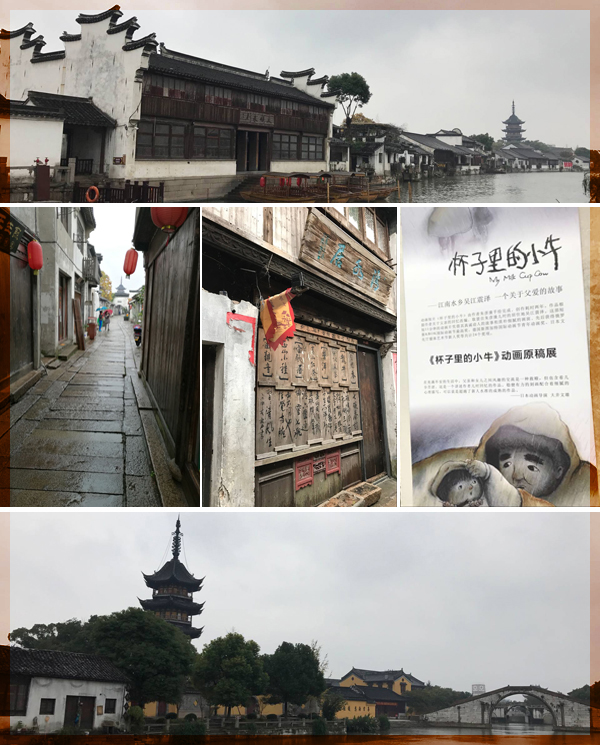 古镇参观集锦.jpg