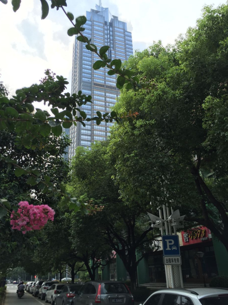 qq图片20160726083533.jpg