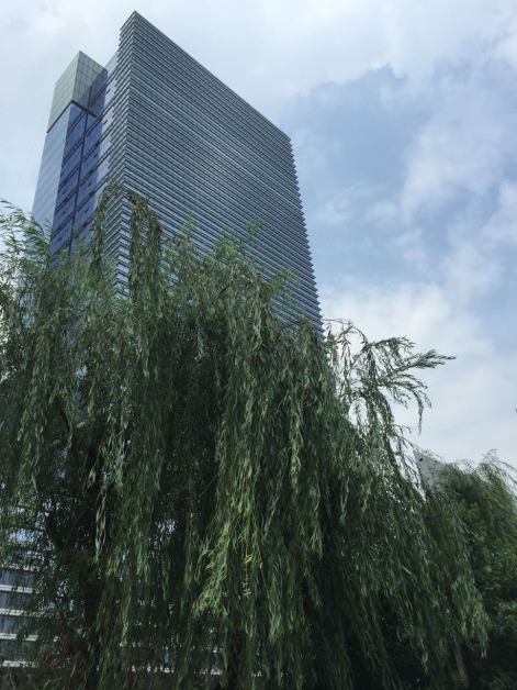 qq图片20160726083508.jpg