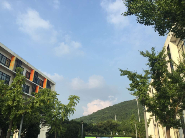 QQ图片20160730153222.jpg