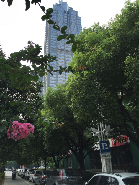 QQ图片20160721102623.jpg