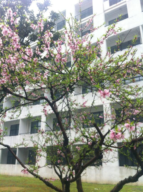 qq图片20160730164930.jpg