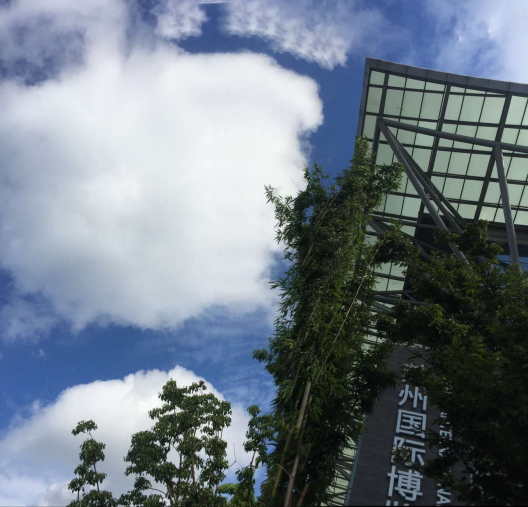 qq图片20160813131040.jpg